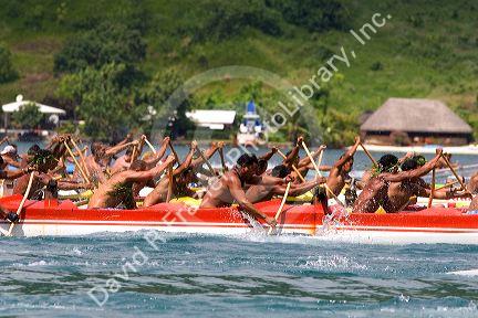 Tahitians take part in an outrigger canoe pirogue race off the island of Moorea.