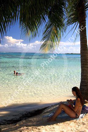 Beach scene with lagoon and palm tree on the island of Moorea. MR