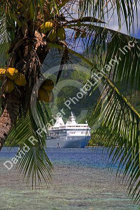 A coconut palm tree frames a view of the Paul Gaugin cruise ship anchored at Opunohu Bay on the island of Moorea.