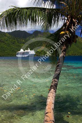 A coconut palm tree frames a view of the Paul Gaugin cruise ship anchored at Opunohu Bay on the island of Moorea.