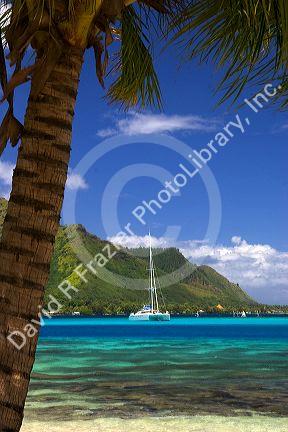 A sailboat anchored in the lagoon off the island of Moorea.