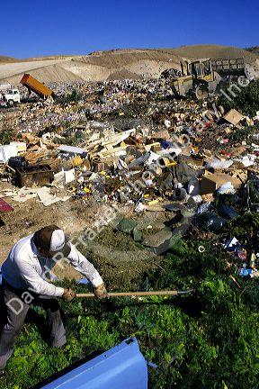 Man dumping yard waste at a landfill in Boise, Idaho.