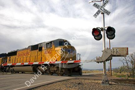 Union Pacific train at a grade crossing in Idaho.