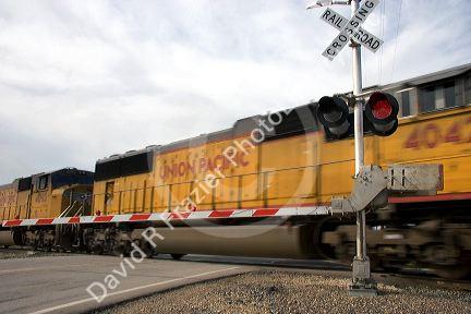 Union Pacific train at a grade crossing in Idaho.