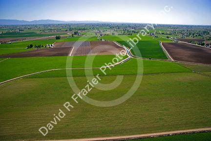Aerial view of farmland in Canyon County, Idaho.