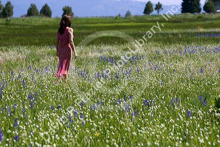 Woman walking through a meadow of wildflowers including the camas lily in Valley County, Idaho. MR