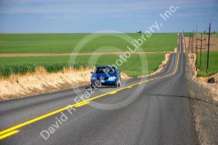 Car traveling on a country road surrounded by green unripe wheat fields near Pendleton, Oregon.