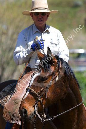 Cowboy on horseback during a cattle round up near Emmett, Idaho.