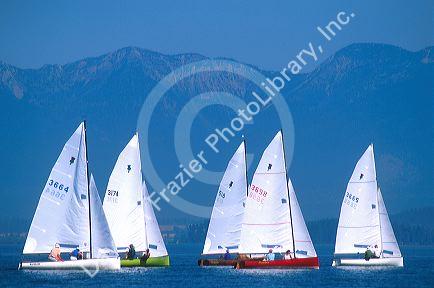 Sailboats on Flathead Lake, Montana.