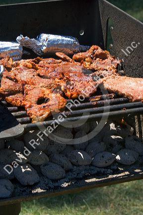 Meat being barbecued at the Sandy Point recreation area near Boise, Idaho.