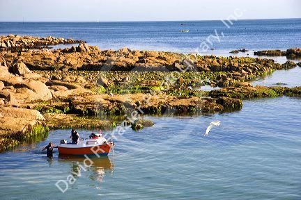 Fishing boat at low tide in the harbor at the commune of Barleur in the region of Basse-Normandie, France.