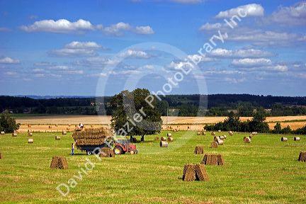 Hay harvest at Argentan in the department of Orne, France.