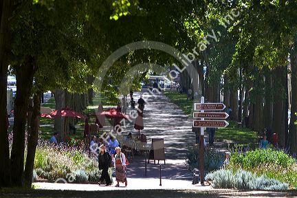 People walk on tree lined pathways at Versailles in the department of Yvelines, France.