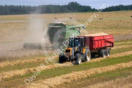 Wheat harvest near Vervins in the region of Picardie, France.