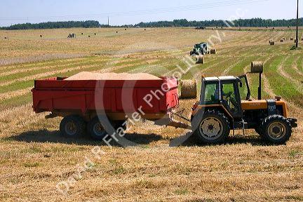Wheat harvest near Vervins in the region of Picardie, France.