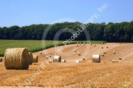 Hay bales in the french countryside near Vervins in the region of Picardie, France.