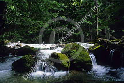 Deception Falls in the Snoqualmie National Forest, Washington.