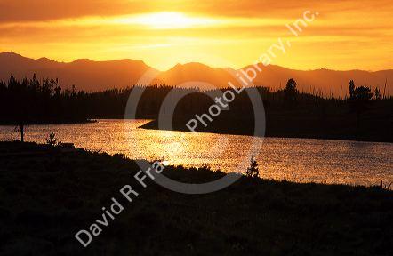 Madison River at sunset in Yellowstone National Park, Wyoming.