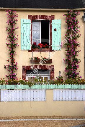 House with a nice display of geraniums in the department of Manche, France.