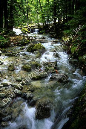 Deception Falls in the Snoqualmie National Forest, Washington.