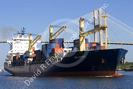 A container ship passes under the Talmadge Memorial Bridge on the Savannah River in Savannah, Georgia.