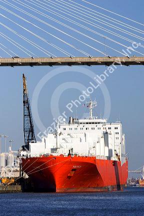 A container ship docked under the Talmadge Memorial Bridge on the Savannah River at the Port of Savannah in Savannah, Georgia.