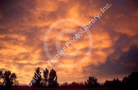 Clouds at sunset over southwest Idaho.  Mammarian clouds laden with moisture.