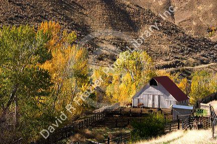 Horse corral and barn near Cambridge, Idaho.