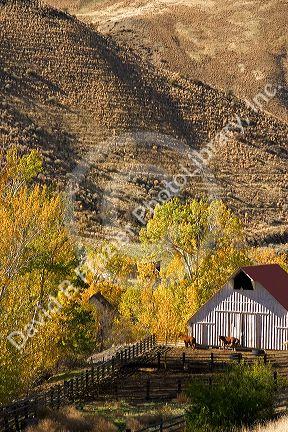 Horse corral and barn near Cambridge, Idaho.