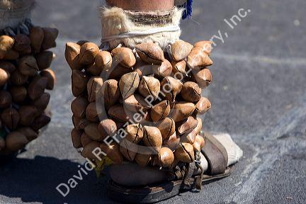 Noise making instrument made of nutshells worn on the ankles of an Aztec indian during a celebration for the Day of the Dead in Mexico City, Mexico.