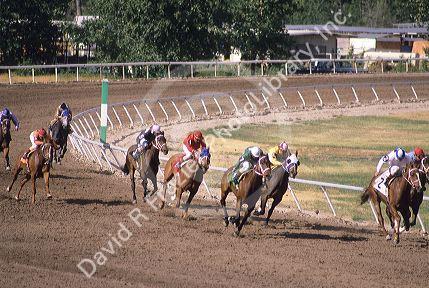 Horse race in Boise, Idaho.