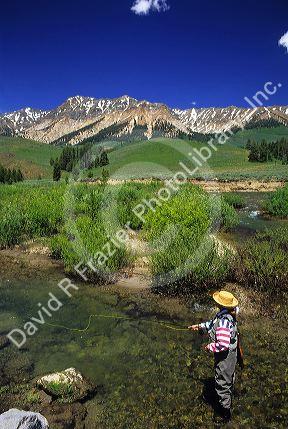 Fly fishing on the Big Wood River near Sun Valley, Idaho.