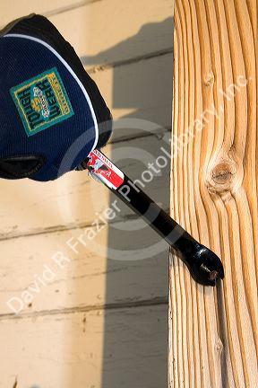 A cats paw crowbar pulling a nail out of a piece of wood.