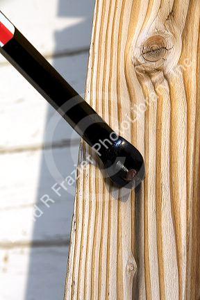 A cats paw crowbar pulling a nail out of a piece of wood.