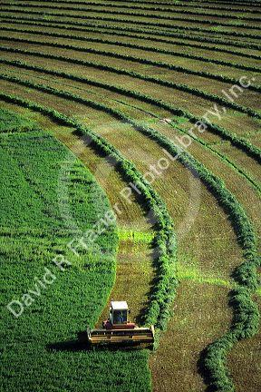 Aerial view of a hay harvest in Grandview, Idaho.