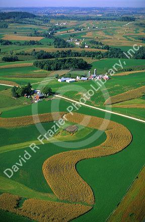 Contour strip farming corn and alfalfa hay in Southeast Iowa.