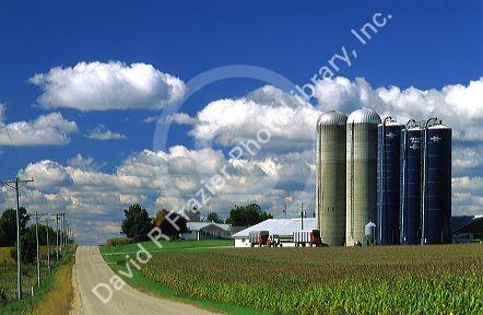 Dairy farm in Northeast Wisconsin.