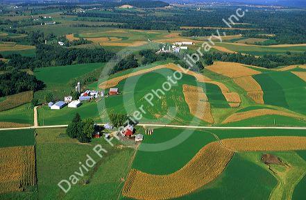 Aerial view of contour strip farming corn and alfalfa hay in Southwest Wisconsin.