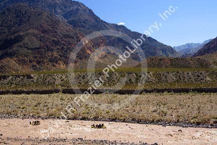 Whitewater rafting the Mendoza River in the Andes Mountain Range, Argentina.