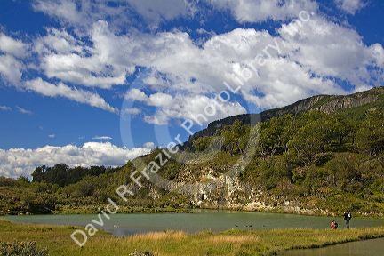 Scenic nature in the Tierra del Fuego National Park, Argentina.