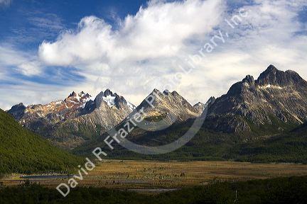 Peat bog below the Martial mountain range near Ushuaia on the island of Tierra del Fuego, Argentina.