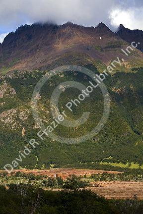 Sphagnum Moss or Peat Moss farm below the Martial mountain range at Ushuaia on the island of Tierra del Fuego, Argentina.
