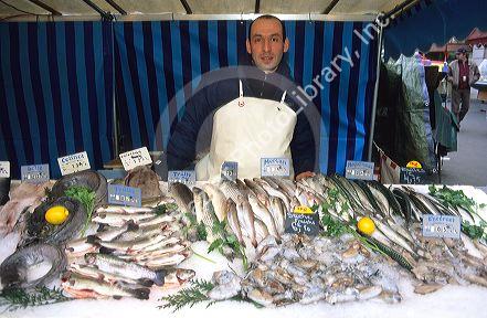 Outdoor fish market in Paris, France.