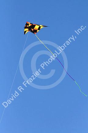 Kite flying in a blue sky at Galveston, Texas.