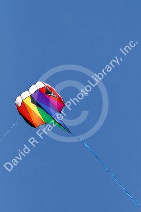 Kite flying in a blue sky at Gaveston, Texas.