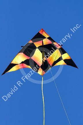 Kite flying in a blue sky at Galveston, Texas.