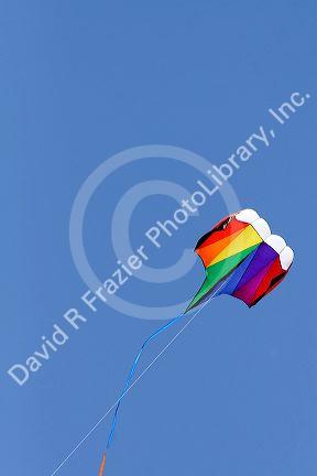 Kite flying in a blue sky at Galveston, Texas.