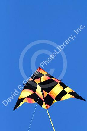 Kite flying in a blue sky at Galveston, Texas.