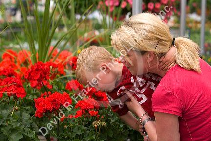 Mother and son shop for flowers in the greenhouse of a retail nursery in Nampa, Idaho. MR