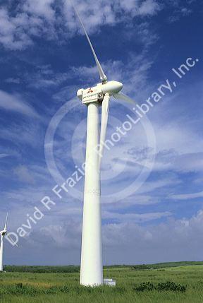 Electric wind generator in Hawaii.